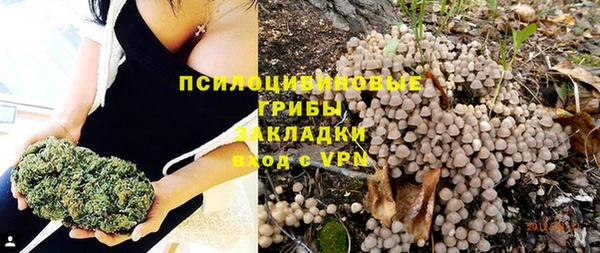 соль ск Карталы